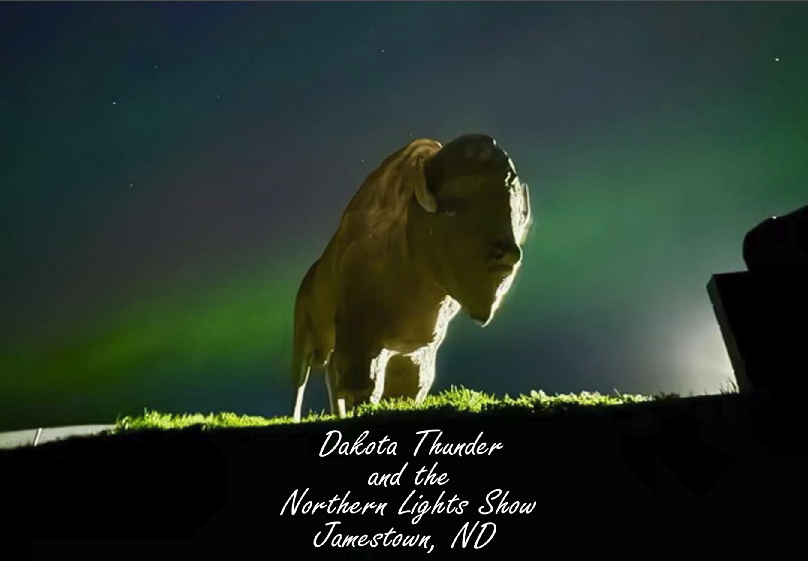 Dakota Thunder PDF