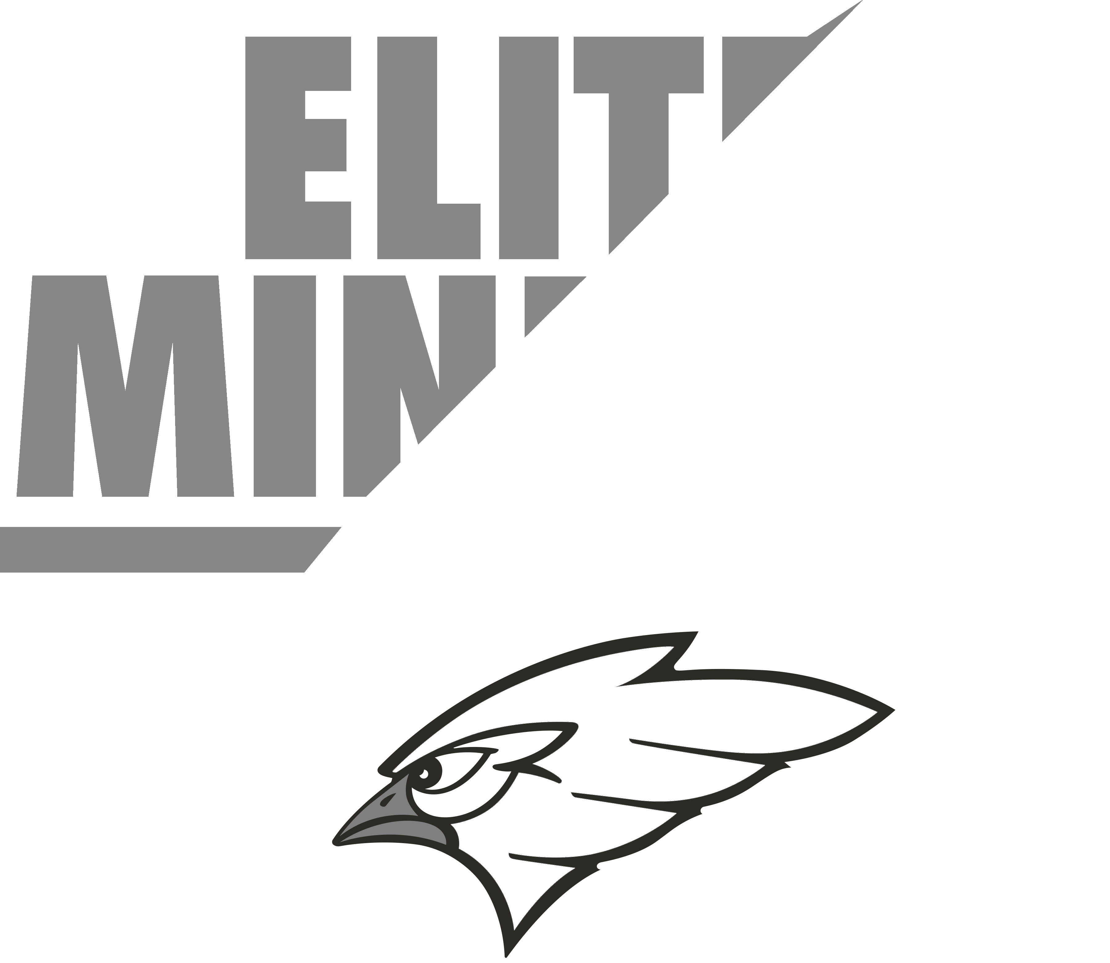 Blue nike hoodie 2 IMPRESSIONS