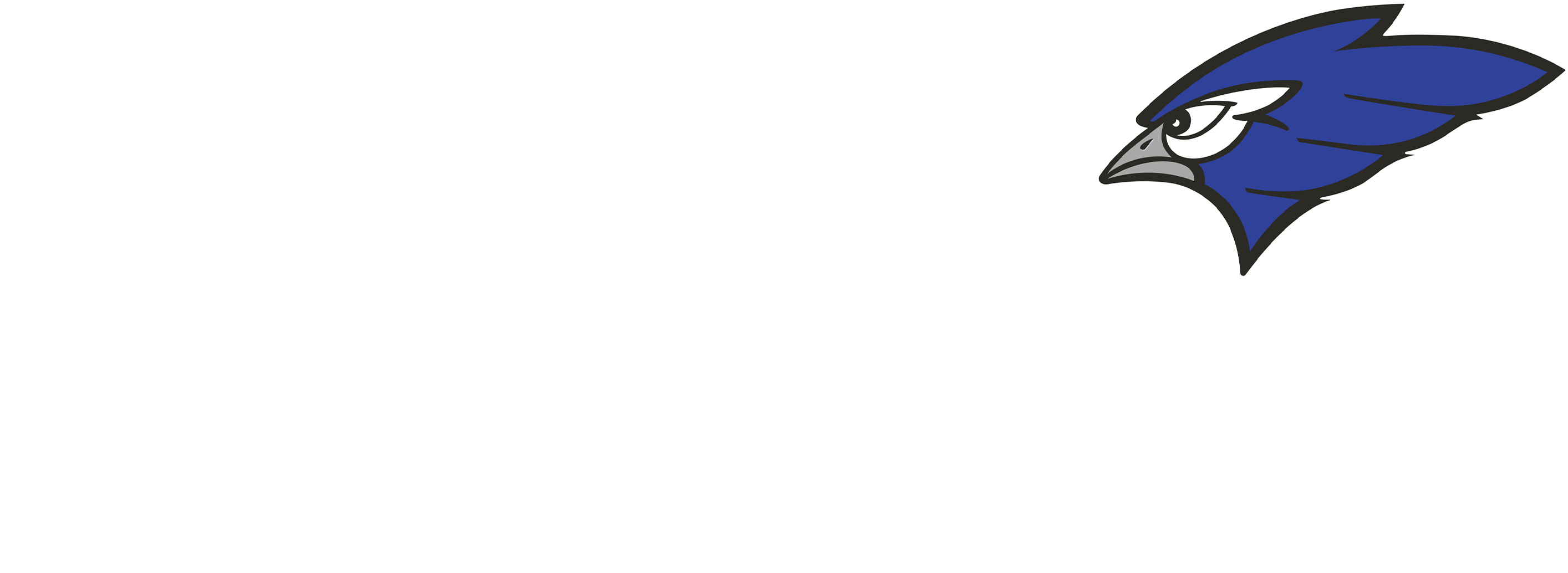 9M66HwtSKqbZDoOy1jF2CMHbpNvYO4f70uwOzy5X.png
